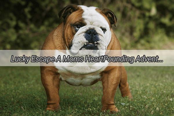 Lucky Escape A Moms HeartPounding Adventure with Her Rescuing Pup